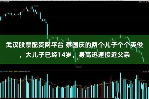 武汉股票配资网平台 蔡国庆的两个儿子个个英俊，大儿子已经14岁，身高迅速接近父亲
