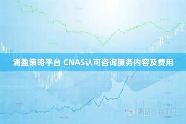 涌盈策略平台 CNAS认可咨询服务内容及费用