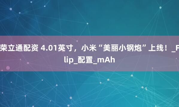 荣立通配资 4.01英寸，小米“美丽小钢炮”上线！_Flip_配置_mAh