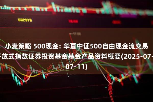 小麦策略 500现金: 华夏中证500自由现金流交易型开放式指数证券投资基金基金产品资料概要(2025-07-11)
