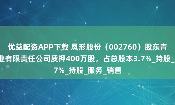 优益配资APP下载 凤形股份（002760）股东青海西部铟业有限责任公司质押400万股，占总股本3.7%_持股_服务_销售