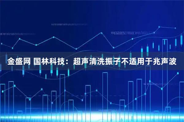 金盛网 国林科技：超声清洗振子不适用于兆声波