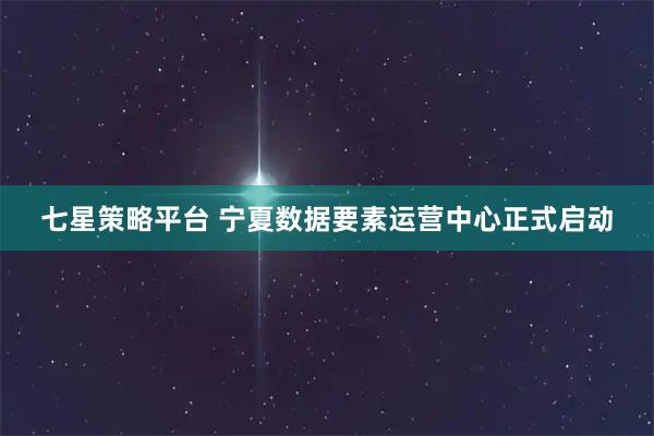 七星策略平台 宁夏数据要素运营中心正式启动